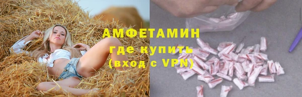 крисы Алзамай
